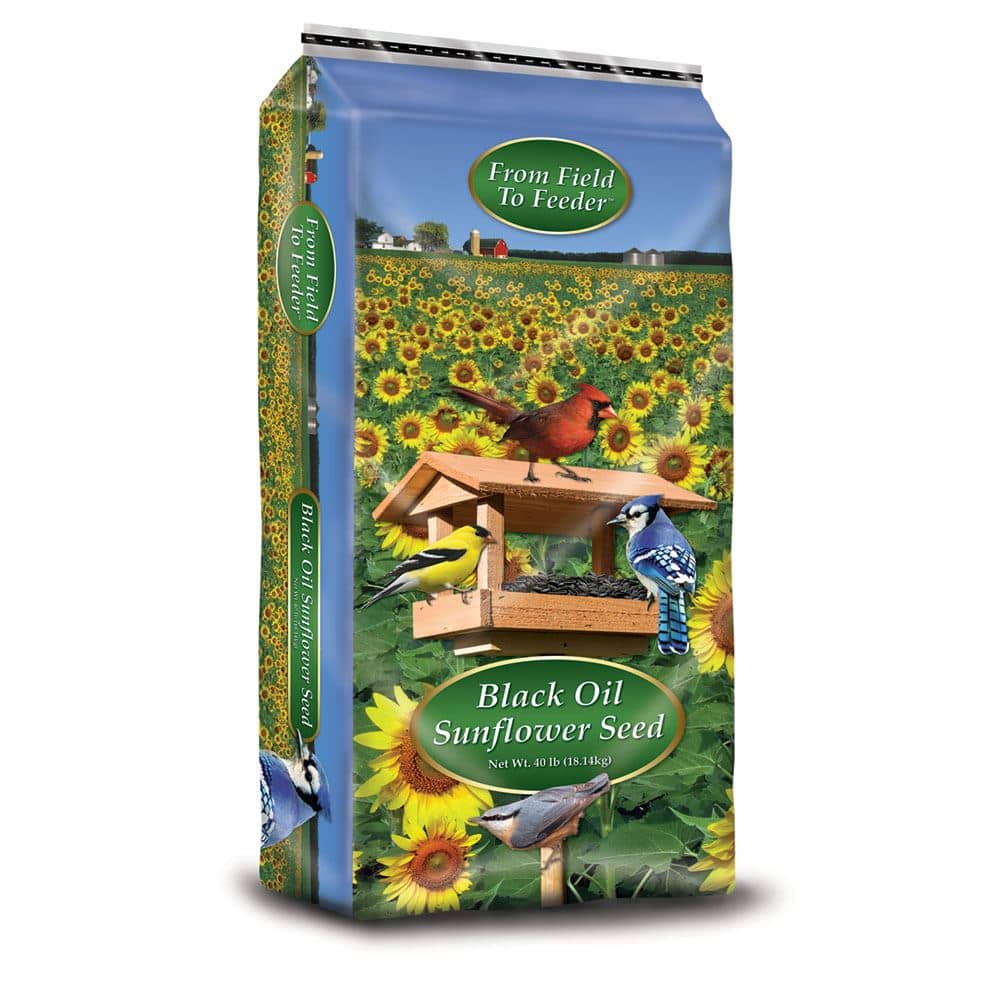 Black Oil Sunflower Seed product packaging