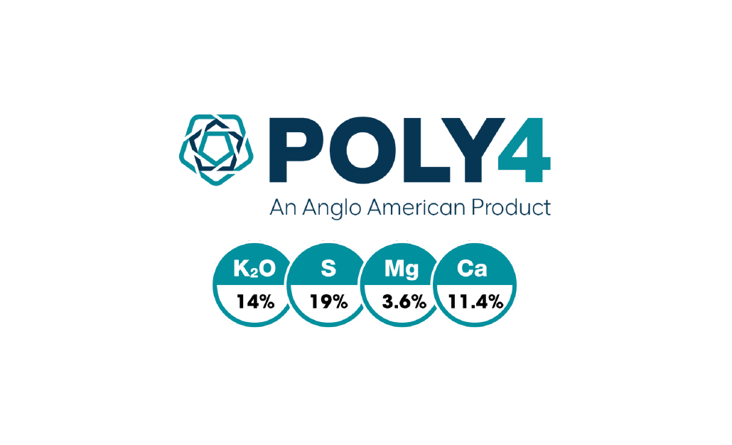 POLY4 logo