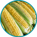 corn callout