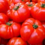 tomatoes