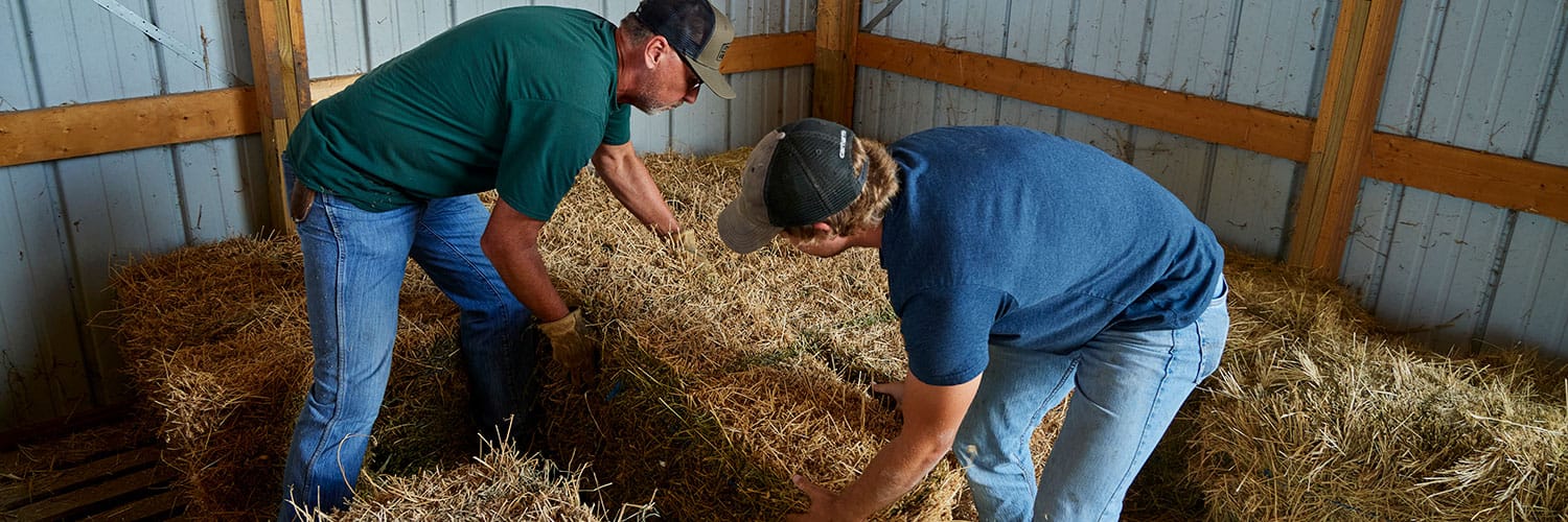 two men moving bales if wheat straw