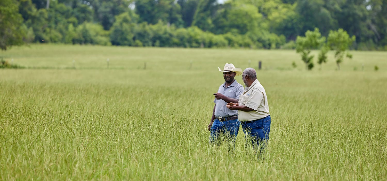 Producer, Howard Hodge and ADM rep walking through farmland