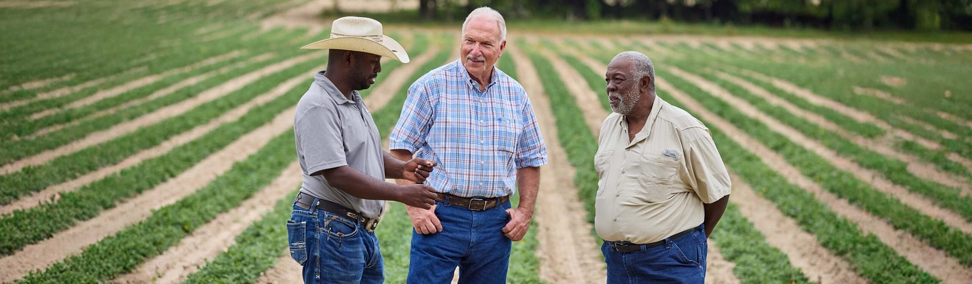 Emmanuel Bankston, Howard Hodge and Steve Welch talking in a field