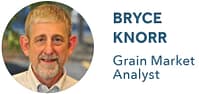 Bryce Knorr, Grain Market Analyst