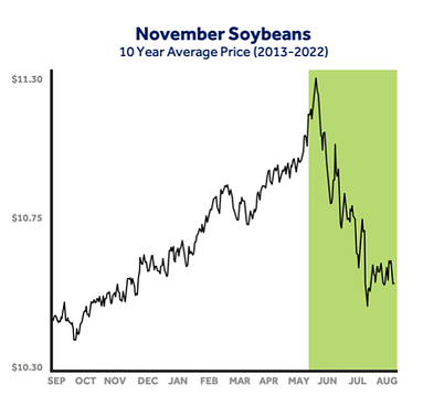 november soybean chart