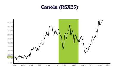 Canola seasonal price chart