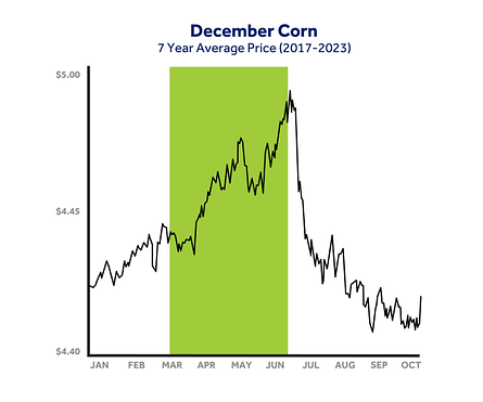 December corn chart