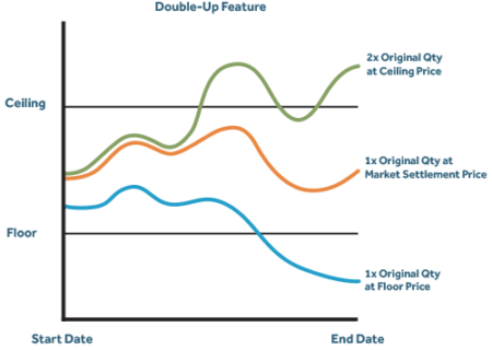1x2 Contract Graph