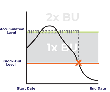 Non-Guaranteed Daily Double-Up Feature Chart