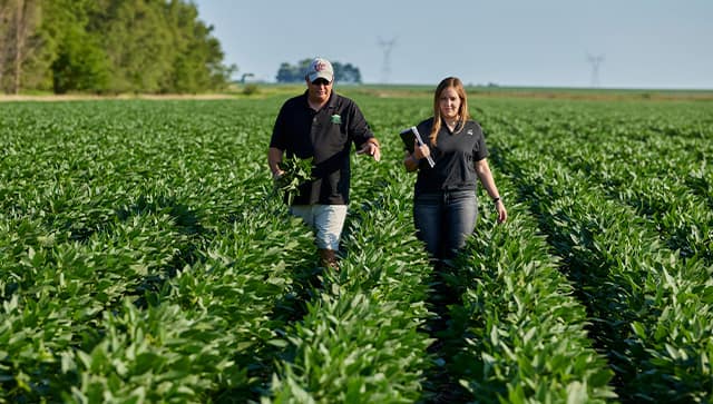 ADM producers walking through a corn field