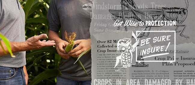 Shift-ADMadvantage - Use Crop Insurance