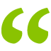 decorative quotation element