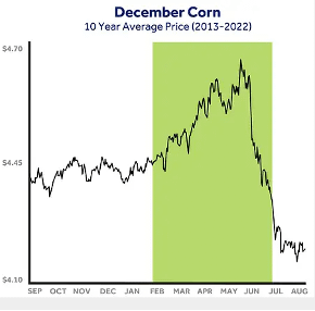 december corn chart