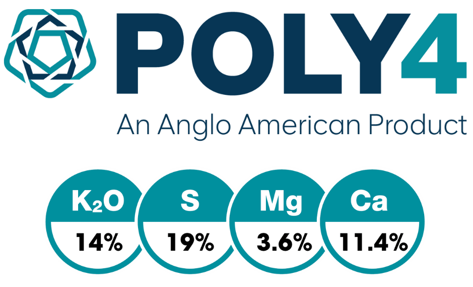 POLY4 Anglo American logo
