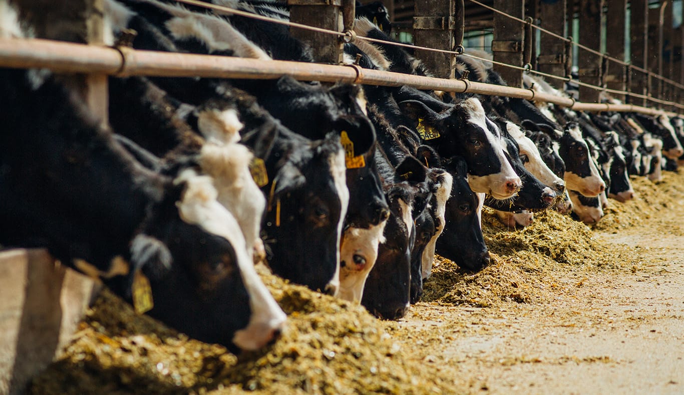  Bulk Livestock Feed - ADM Advantage